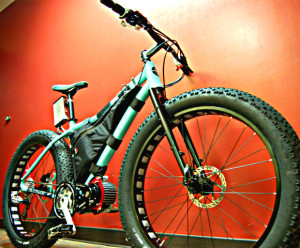 EcoSpeed_Fatbike_Fatback_4