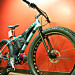 EcoSpeed_Fatbike_Fatback_4